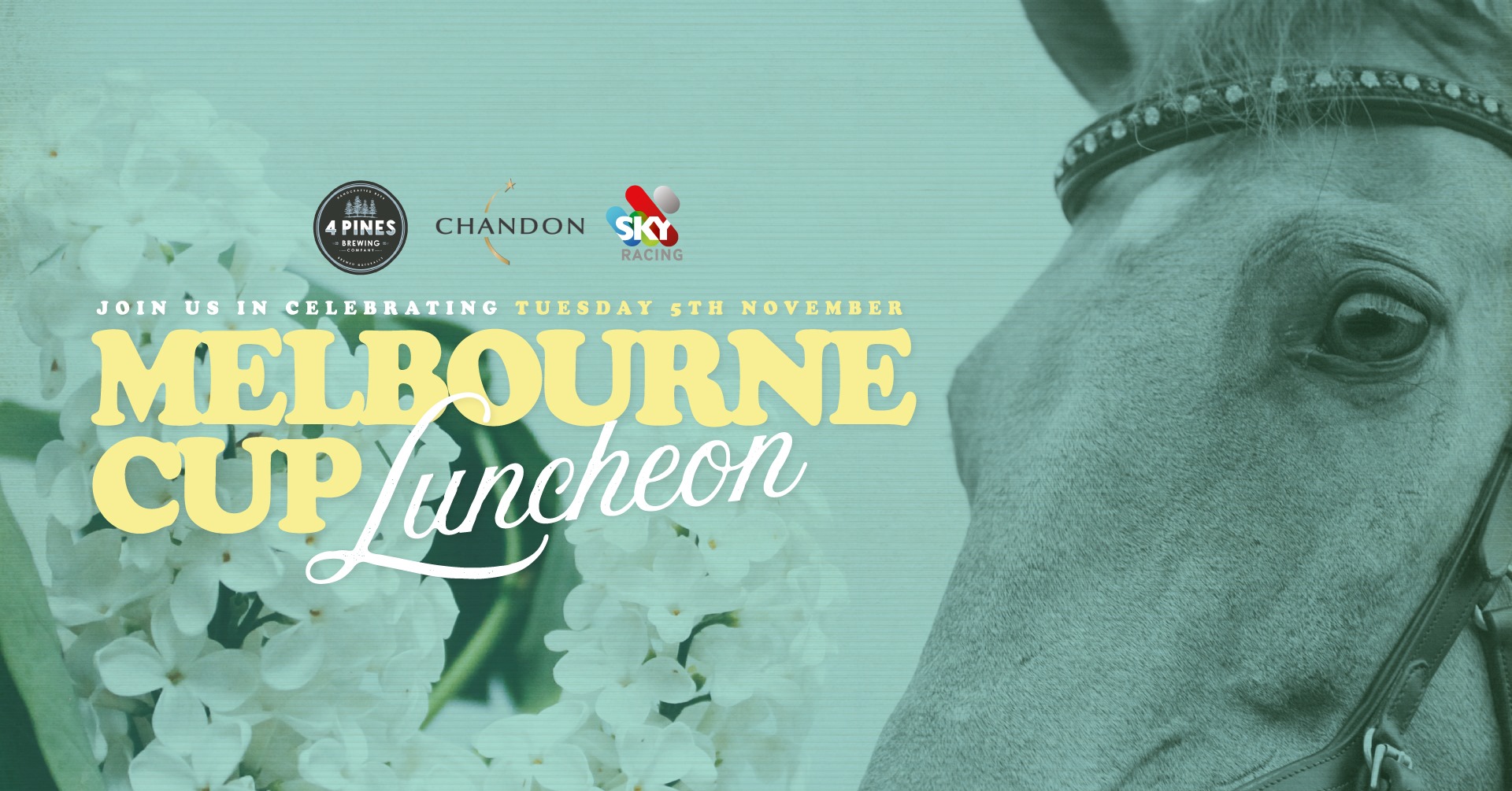 Where To Watch Melbourne Cup Day Pub Rooms Directory 